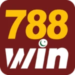 788 win
