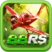 BBRS Game