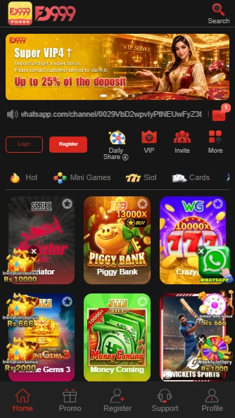 FD999 Game